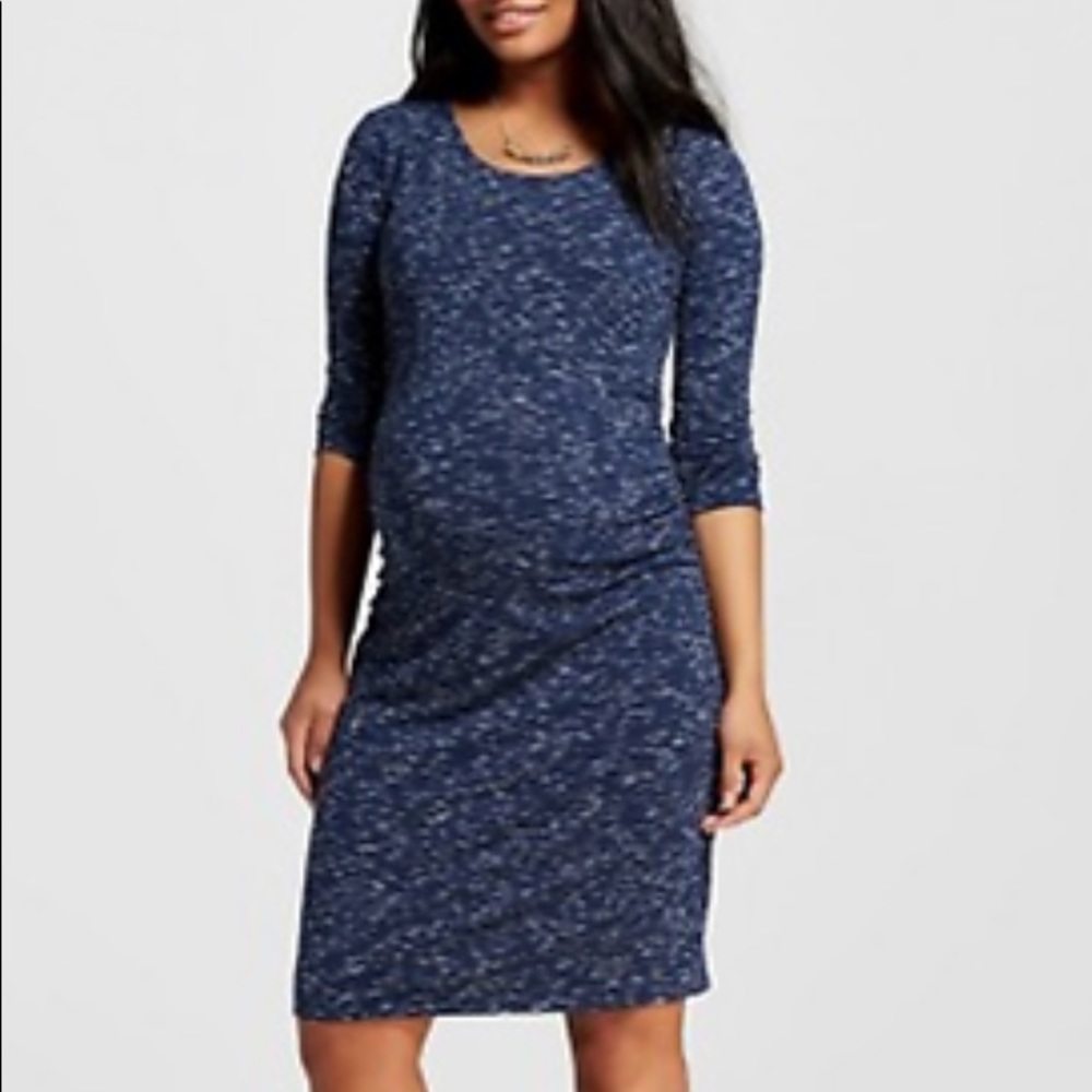 Liz Lang Fitted Maternity Dress